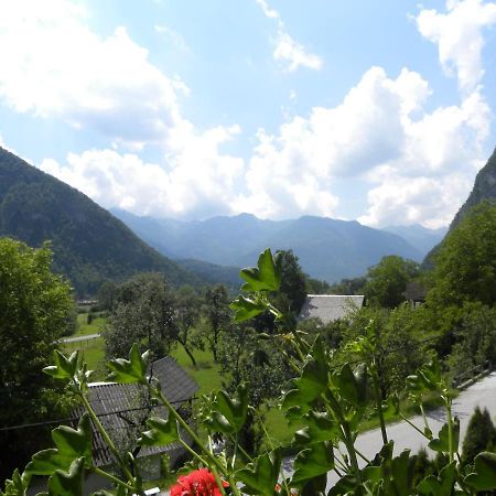 Apartma Cvetek, Srednja Vas 133 Bohinj Luaran gambar