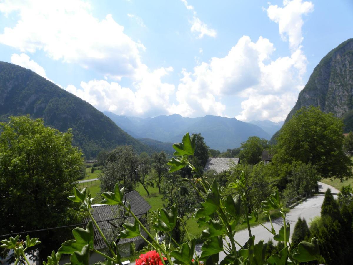 Apartma Cvetek, Srednja Vas 133 Bohinj Luaran gambar